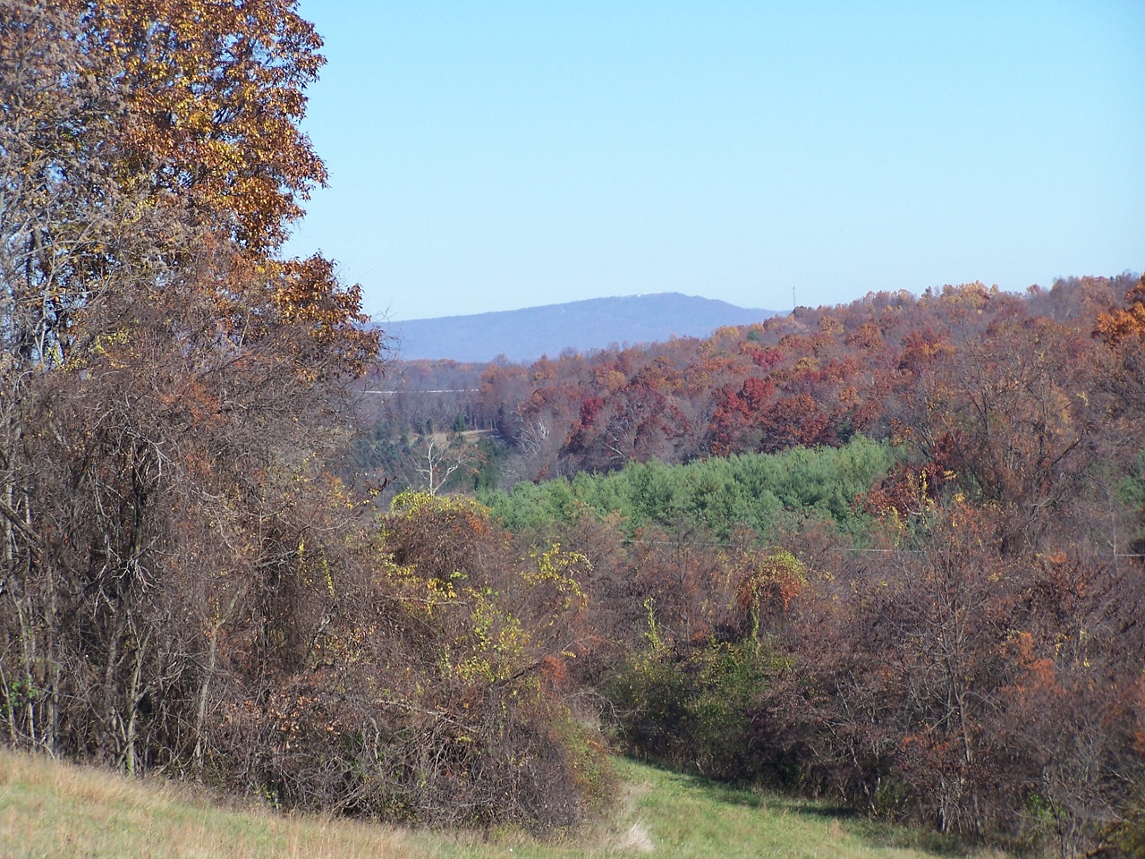 Rolling Springs Farm