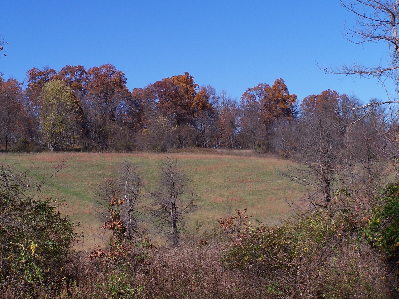 Rolling Springs Farm