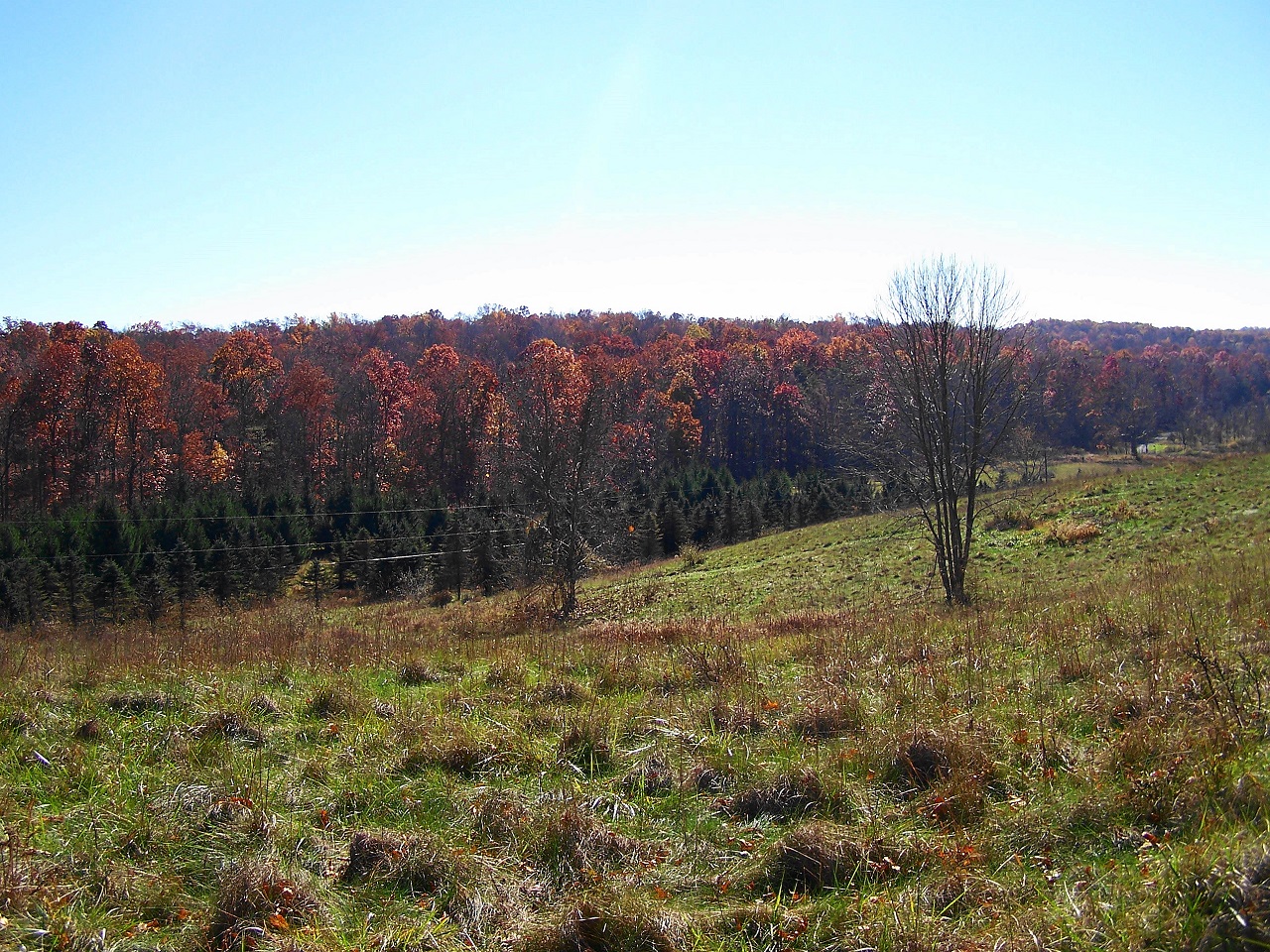 Rolling Springs Farm