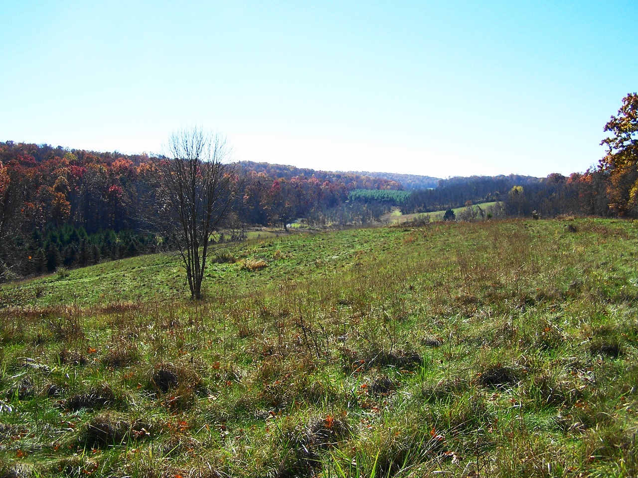 Rolling Springs Farm